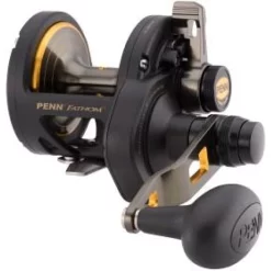 Penn Fathom 30LD2