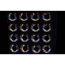 A. Jensen 4-D Living Eyea