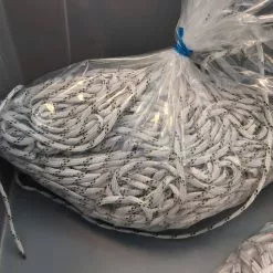 Frydendahl Fiskenet PP Blytau No 1,5 - 100 Meter -Fluefiske Salgsbutikk w1200h900 18